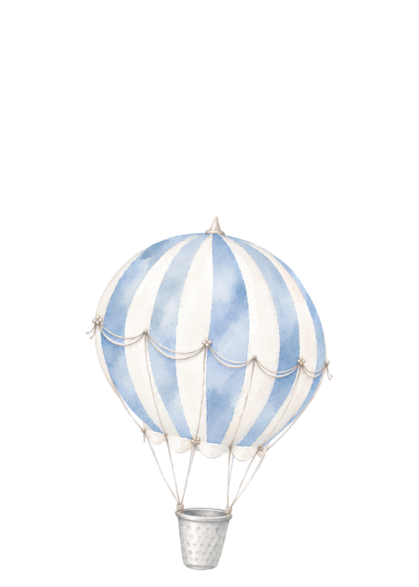 The hot air balloon