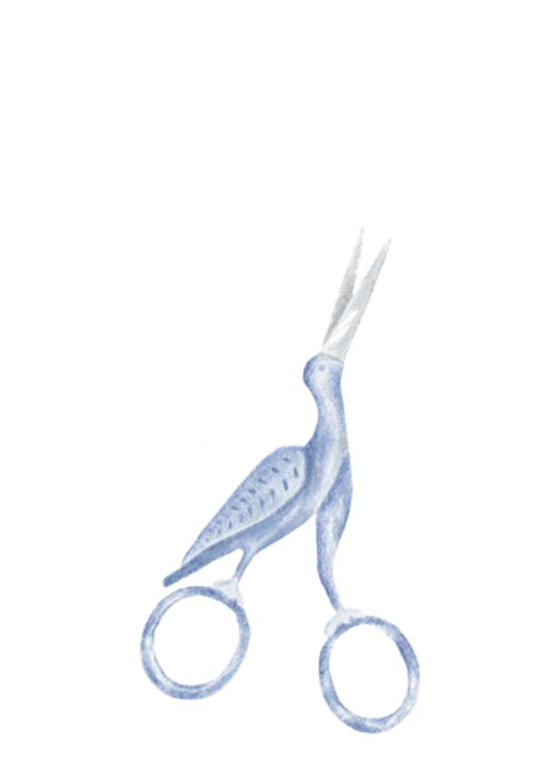 The stork scissors