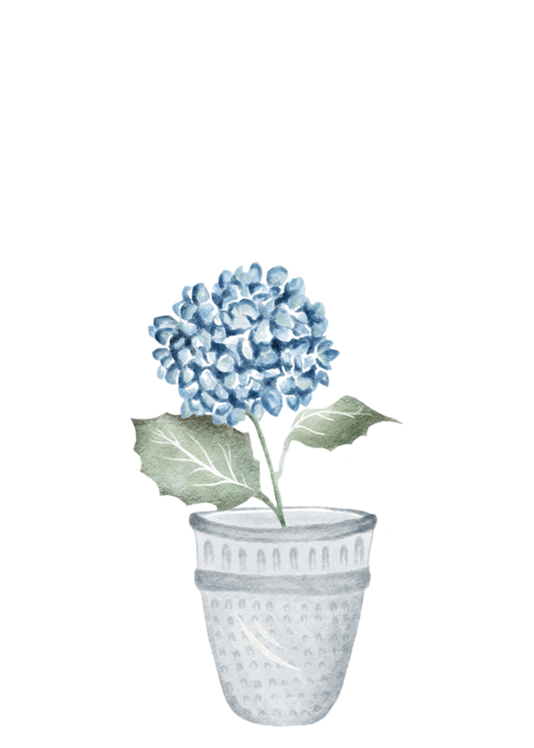 The hydrangea thimble